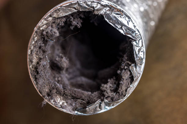 Best Professional Duct Cleaning Services  in Prairie Heights, WA